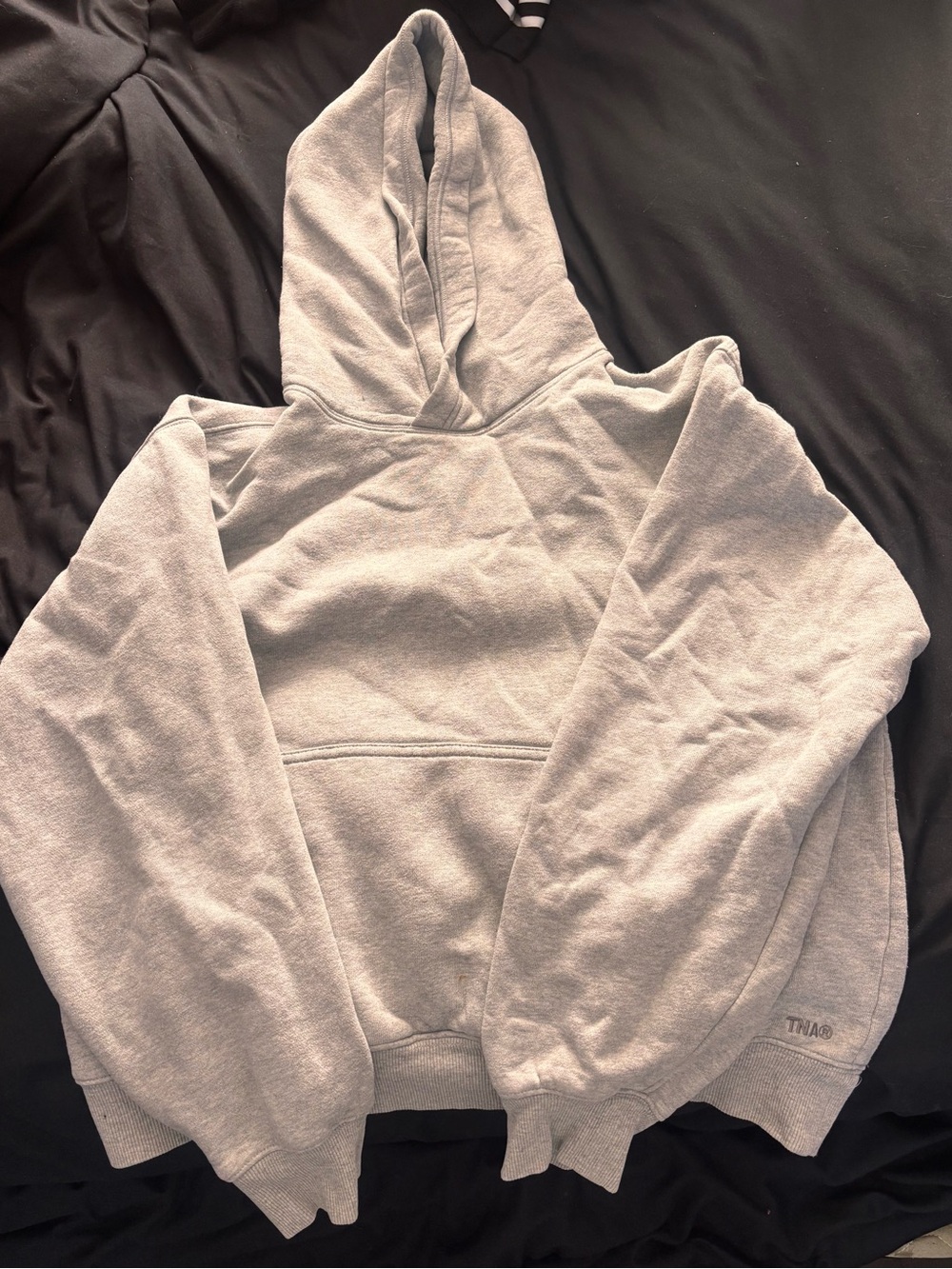 Aritzia Perfect Hoodie